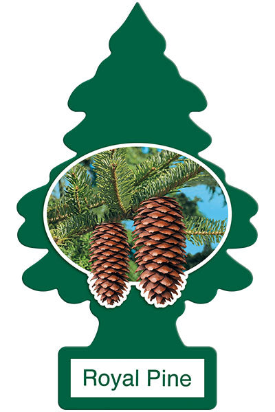 10101 LITTLE TREES AIR FRESHENER - ROYAL PINE